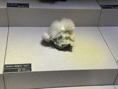 -河南自然博物馆