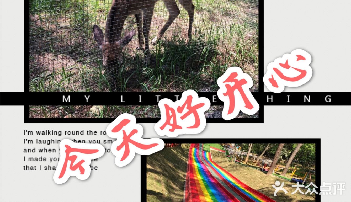 开心的一天