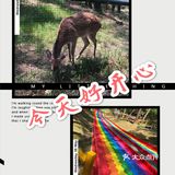 开心的一天