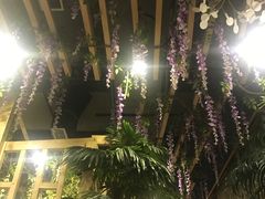 -四季合味椰子鸡(南山大冲店)