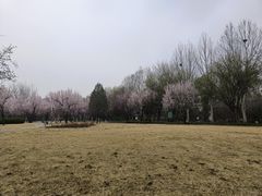 -达活泉公园