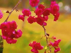 -广东工业大学(大学城校区)