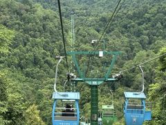 -野象谷景区