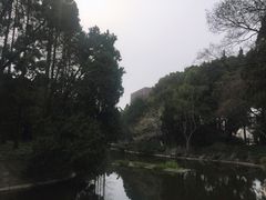 -叶家花园