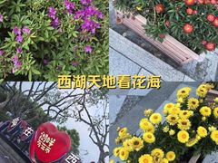 -西湖天地