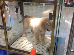 -乐宠宠物店(世纪金源店)