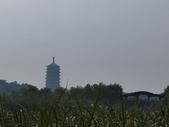 -永定河休闲森林公园