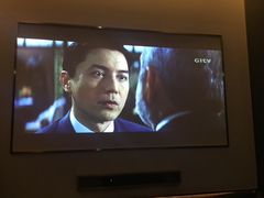 -合肥滨湖国家森林公园