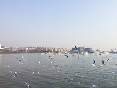 景点-栈桥景区