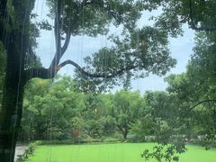 -申粤轩酒楼·三十年粤菜经典(丁香花园店)