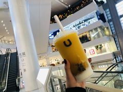 -春丽小马(济南恒隆广场店)