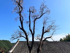-丹山赤水风景名胜区