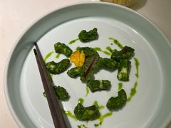 芥末青酱八爪鱼-CHIC1699远洋私厨