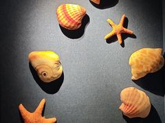 -温州博物馆