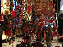 -上海龙之梦万丽酒店