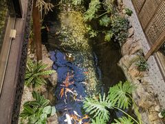 -聚缘堂·海鲜私房菜(松岭路店)