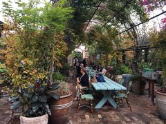 -The Grounds of Alexandria