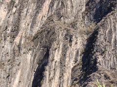 -百里山水画廊