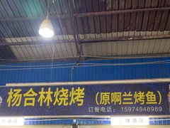 -杨合林啊兰烤鱼