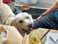 -Grande A'moo(上海万象城店)