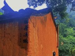 -杨家堂村