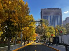 -亮马河饭店翠雅咖啡厅