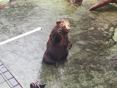 -深圳野生动物园