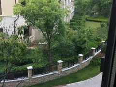 -上海崇明金茂凯悦酒店