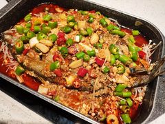 海鲈鱼-烟火鱼乡(京华城店)