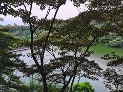 -黄埔油麻山森林公园