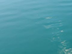 -广州市流溪河国家森林公园