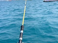 -小猫钓鱼海钓俱乐部(椰梦长廊店)