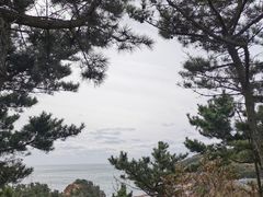 -棒棰岛宾馆景区