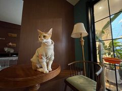 -灯塔咖啡馆BOOK·Coffee Shop