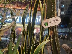 -隅乐胡椒虾·台湾菜·团建(皇岗店)