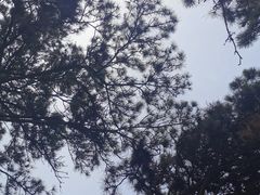 -北京西山国家森林公园