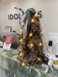 点击看大图 -IDOL PLUS