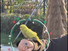 -珠海海泉湾神秘岛亲子乐园