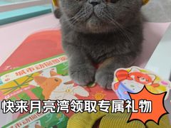 -瑞虹新天地月亮湾