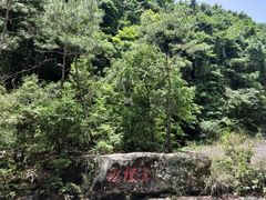 -梁野山景区