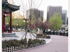 -西海子公园