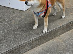 -酷乐潮玩(颛桥万达店)