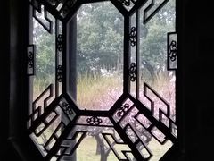 -香雪海
