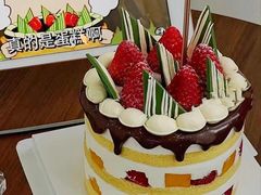 -咖咖熊蛋糕定制·蓝风车动物奶油