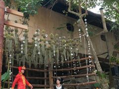 -海南槟榔谷黎苗文化旅游区