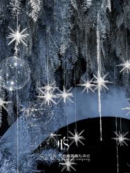 -红丝高端婚礼中心(旗舰店)