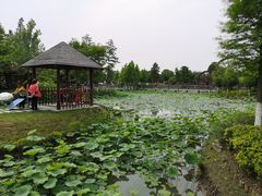 -董永七仙女文化园