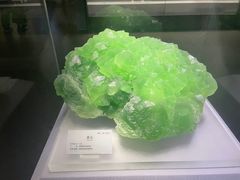 -湖南省地质博物馆