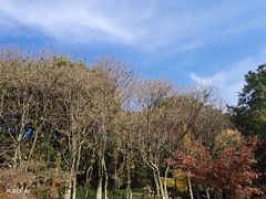 -宝岩生态观光园