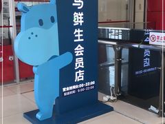 -盒马鲜生(大成店)
